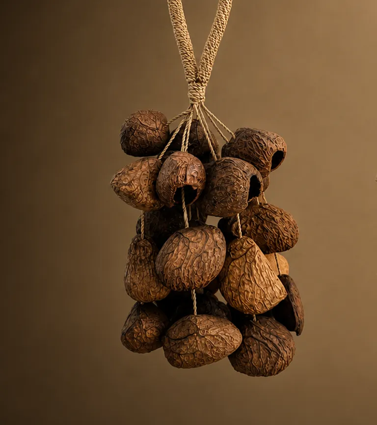 Kenari seeds